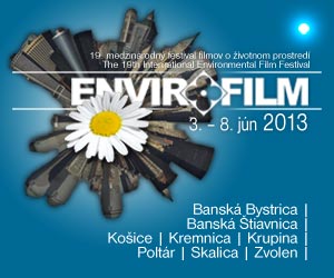 Envirofilm 2013