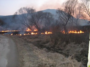 oheň - vypaľovanie trávy (HaZZ BB)