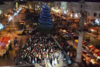 Zivy vianocny stromcek z ludi, Banská Bystrica, 16.12.2013