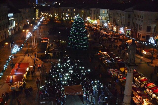 Zivy vianocny stromcek z ludi, Banská Bystrica, 16.12.2013