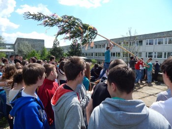 Stavanie maja na Gymnaziu J.G.Tajovskeho, Banská Bystrica, 1.5.2014