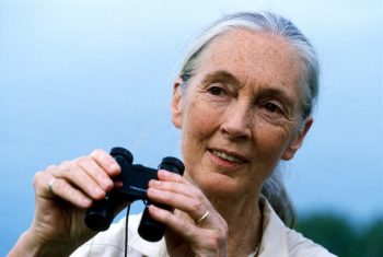 Dr. Jane Goodall_2_The Jane Goodall Institute