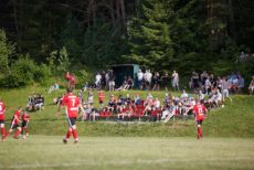 Pozri aj tento článok