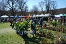 Pozri aj tento článok