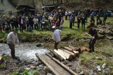 Pozri aj tento článok